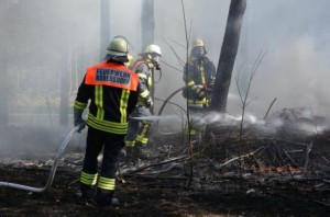 Waldbrand-e1431430511638.jpg